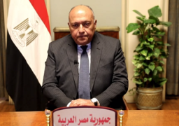 وزير الخارجية يتوجه إلى جدة للمشاركة في الاجتماعات التحضيرية للقمة العربية