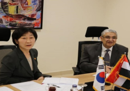 وزير الكهرباء يبحث مع وزيرة البيئة الكورية دعم التعاون وزيادة فرص الاستثمار في مصر