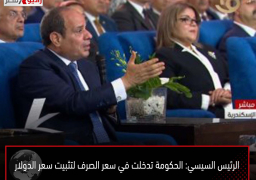 الرئيس السيسي: الحكومة تدخلت في سعر الصرف لتثبيت سعر الدولار