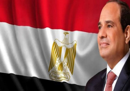 الرئيس السيسي يوجه بتشكيل لجنة لتقييم الموقف بشأن نقل المقابر بمنطقة السيدة نفيسة والإمام الشافعي