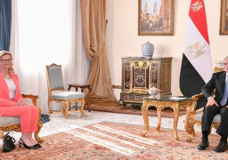 السيسي يؤكد حرص مصر على تعزيز التعاون مع الاتحاد الدولي للاتصالات