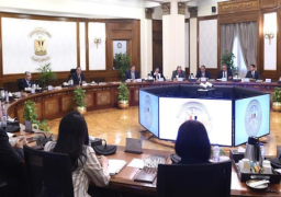 بالصور .. رئيس الوزراء يبحث فرص تعظيم الاستفادة من الثروة التعدينية بمصر في توطين الصناعات التكنولوجية الدقيقة