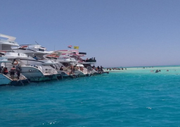 بالصور . وزارة البيئة تواصل جهود أعمال الرصد والمتابعة الدورية للمحميات الطبيعية بجنوب سيناء