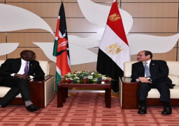 بالصور.. الرئيس السيسي يلتقي نظيره الكيني ويليام روتو على هامش قمة الكوميسا في لوساكا