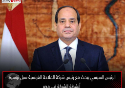 الرئيس السيسي يبحث مع رئيس شركة الملاحة الفرنسية سبل توسيع أنشطة الشركة في مصر