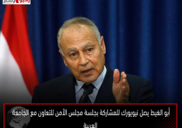 أبو الغيط يصل نيويورك للمشاركة بجلسة مجلس الأمن للتعاون مع الجامعة العربية