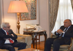 وزير الخارجية يؤكد ضرورة تضافر الجهود الإقليمية والدولية والأممية لوقف التصعيد في الأراضي المحتلة