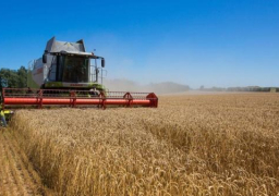 أوروبا تبحث تقديم تنازل لبنك روسي لضمان استمرار اتفاق الحبوب