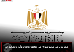 مصر تعرب عن تعازيها لليونان في مواجهة تداعيات وآثار حرائق الغابات