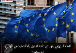 الاتحاد الأوروبي يعرب عن قلقه العميق إزاء التصعيد في الأراضي الفلسطينية