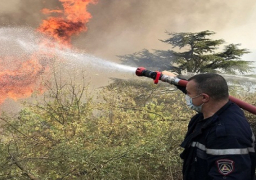 الجزائر: إخماد غالبية الحرائق التي طالت عدة مدن بنسبة 80%