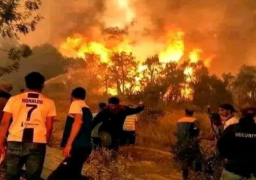 الرئيس التونسي يصل طبرقة لمتابعة تطورات الحرائق وإجلاء المتضررين