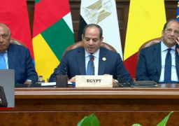 السيسي في البيان الختامي لقمة دول الجوار: أكدنا على الاحترام الكامل لسيادة السودان وسلامة أراضيه وعدم التدخل في شؤونه