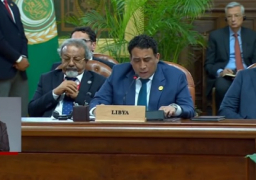 خلال كلمته أمام قمة دول الجوار.. المنفي يؤكد ضرورة اتخاذ موقف موحد تجاه الصراع في السودان