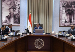 رئيس الوزراء يتابع مع الرئيس التنفيذي لوكالة الفضاء المصرية عددًا من مشروعات الوكالة