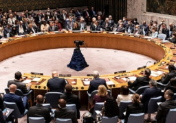 مجلس الأمن يشدد على ضرورة استعادة النظام الدستوري في النيجر