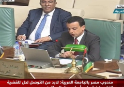 مصر تدين اعتداءات إسرائيل على جنين وتحذر من تداعيات هذا التصعيد على الأمن والسلم الإقليمين