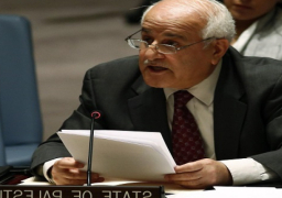 مندوب فلسطين لدى الأمم المتحدة يدعو مجلس الأمن إلى تحمل مسؤولياته لوقف العدوان الإسرائيلي