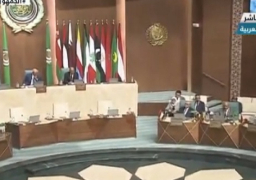 مندوب مصر لدى الجامعة العربية: ما يجري في جنين من قتل وحشي يقلص فرص إحياء عملية السلام