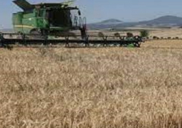 واشنطن وأنقرة تبحثان “مبادرة تصدير الحبوب”