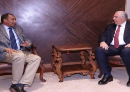 وزير الزراعة: مصر تقدم كافة خبراتها الزراعية للأشقاء العرب تنفيذا لتوجيهات الرئيس السيسي