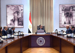 رئيس الوزراء يتابع إجراءات دعم الصناعة المصرية وزيادة الصادرات للأسواق الخارجية