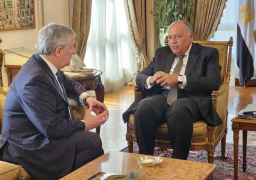 شكرى ونظيره الإيطالي يبحثان هاتفيا دفع العلاقات الثنائية في المجالات الاقتصادية والاستثمارية