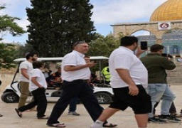 مُستوطنون إسرائيليون يعتدون على طفل مقدسي ويؤدون طقوسًا تلمودية عند أبواب المسجد الأقصى