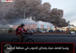 روسيا تقصف ميناء ومخازن للحبوب في منطقة أوديسا