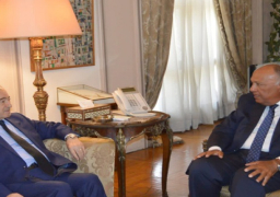 بالصور.. خلال لقائه المقداد.. شكري يؤكد حرص لجنة الاتصال الوزارية العربية المعنية بسوريا على استكمال المهمة المنوطة