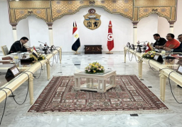 بالصور.. شكري يترأس مع نظيره التونسي اجتماعات الدورة 15 للجنة التشاور السياسي بين البلدين