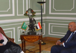 بالصور.. وزير الخارجية ونظيره السعودي يبحثان سبل توطيد العلاقات الثنائية