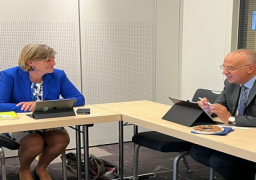 بالصور.. وزير الري يلتقي المبعوث الهولندي الخاص للمياه في ستوكهولم