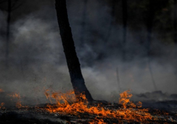 حريق غابات في البرتغال يطرد 1400 شخص من منازلهم