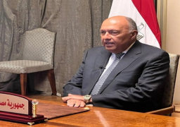 شكرى ونظيره التشادي يبحثان هاتفيا مخرجات الاجتماع الوزارى لدول جوار السودان