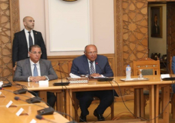 شكري لرؤساء بعثات مصر في الخارج : تقديم الخدمات القنصلية للمصريين في الخارج على قمة أولويات العمل الدبلوماسي