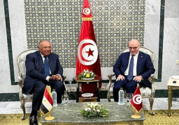 شكري يؤكد دعم مصر لإجراءات الرئيس التونسي لبناء مستقبل أفضل لبلاده