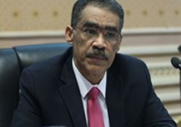 ضياء رشوان: آراء الحوار الوطني تصدر عن مجلس الأمناء بالإجماع ويتم الإعلان عنها