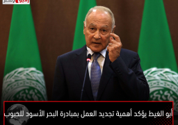 أبو الغيط يؤكد أهمية تجديد العمل بمبادرة البحر الأسود للحبوب