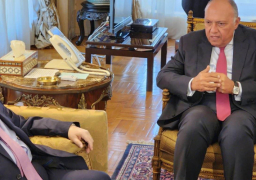 مباحثات مصرية سورية في القاهرة الثلاثاء على مستوى وزيري الخارجية