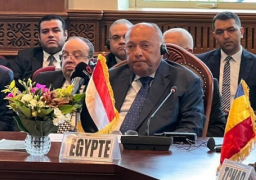 وزير الخارجية: مبادرة دول جوار السودان دليل على الارادة السياسية الجادة لمساعدة الخرطوم في أزمتها