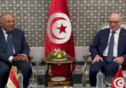 وزير الخارجية يعقد جلسة مباحثات مع نظيره التونسي