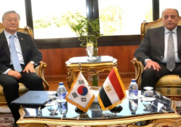 وزير الطيران يلتقي سفير كوريا الجنوبية لدى مصر لبحث تعزيز التعاون المشترك بين البلدين