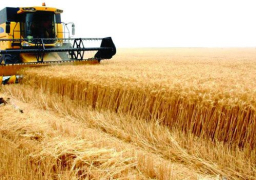 روسيا تدخل قائمة أكبر مصدري القمح إلى البرازيل