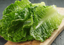 لمرضى السكري .. “فوائد مذهلة” للخس لا يمكن تخيلها