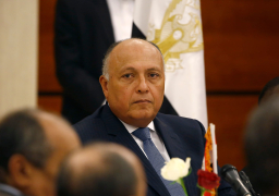 وزير الخارجية يبحث مع رئيس مجلس القيادة الرئاسي اليمني مستجدات الوضع