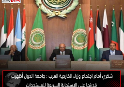 شكري أمام اجتماع وزراء الخارجية العرب : جامعة الدول أظهرت قدرتها على الاستجابة السريعة للمستجدات