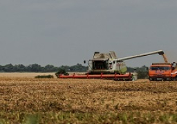 بولندا والمجر وسلوفاكيا تفرض حظرا على الحبوب الأوكرانية
