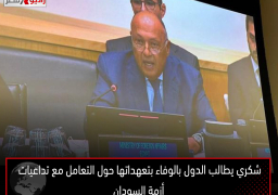 شكري يطالب الدول بالوفاء بتعهداتها حول التعامل مع تداعيات أزمة السودان