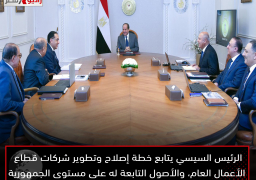 الرئيس السيسي يتابع خطة إصلاح وتطوير شركات قطاع الأعمال العام، والأصول التابعة له على مستوى الجمهورية